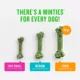 Product Minties Dental Bones Dog Treats 16 OZ