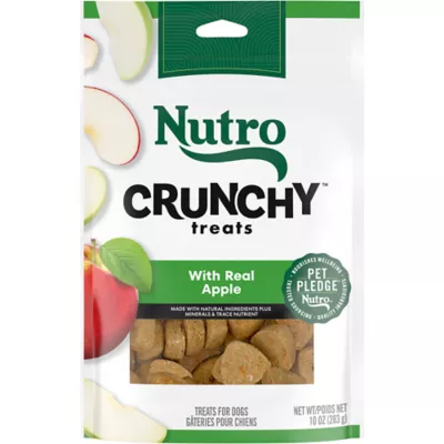 Product Nutro Apple Crunchy Treat 10 OZ