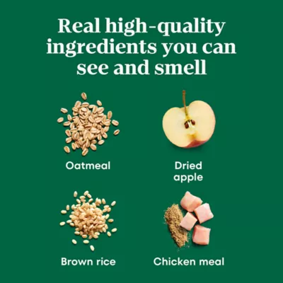 Product Nutro Apple Crunchy Treat 10 OZ