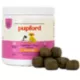Product Pupford Cognition & Focus Puppy Supplement