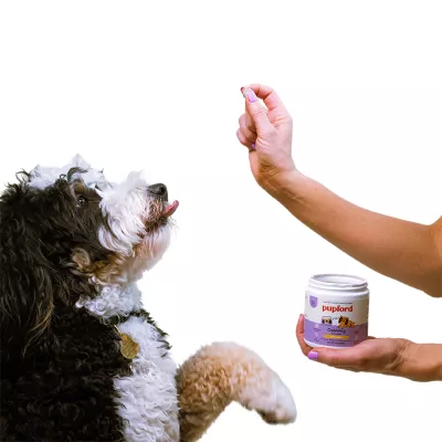 Product Pupford Calming Puppy Supplement
