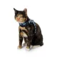 Product Whisker City® Pink Checkered Kitten Harness and Leash Combo Set