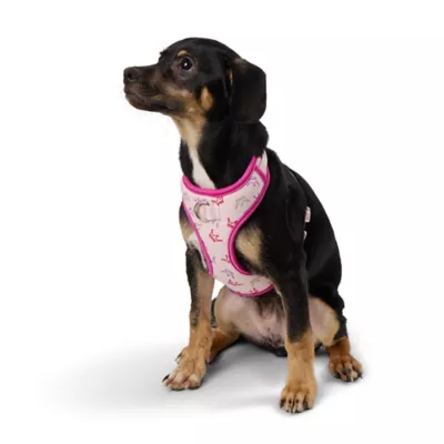 Product Top Paw® Princess Dog Harness