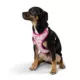 Product Top Paw® Princess Dog Harness