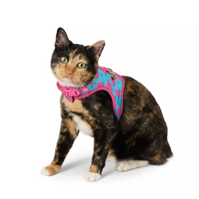 Product Whisker City® Cat Centric Cat Harness and Leash Combo Set