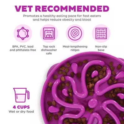 Outward Hound Fun Feeder Slo Bowls