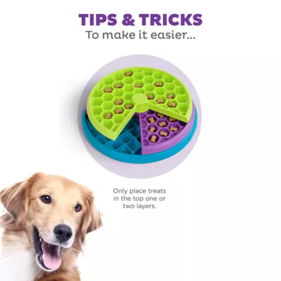 Product Nina Ottosson by Outward Hound Lickin' Layers Puzzle Game & Slow Feeder Dog Bowl