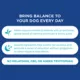 Product  Hyland's Calm & Balance Chews for Dog 90 Ct
