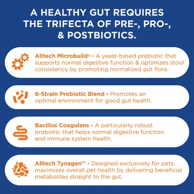 Product Hyland's Total Gut Health Chews for Dog 90 Ct
