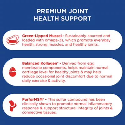 Product Hyland's Max Mobility Chews for Dogs 90 Ct