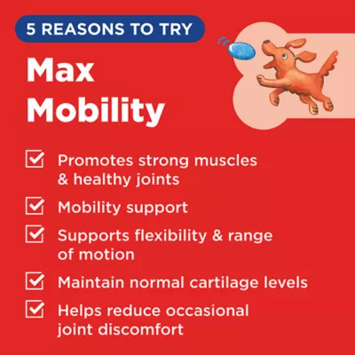 Product Hyland's Max Mobility Chews for Dogs 90 Ct