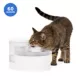 Product PetSafe® Outlast Pumpless Hydrospin Water Fountain 60 oz/1.7L- Water Filter Included