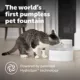 Product PetSafe® Outlast Pumpless Hydrospin Water Fountain 60 oz/1.7L- Water Filter Included
