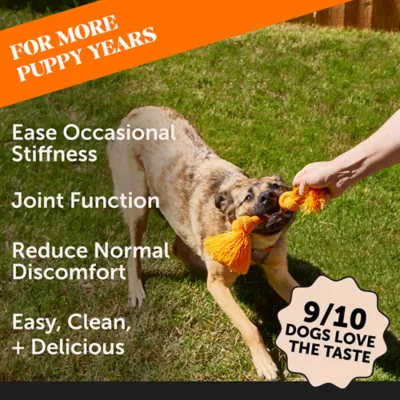 Product Pet Honesty's Hip + Joint Bone Broth + Glucosamine Oil For Dog 12 Fl Oz