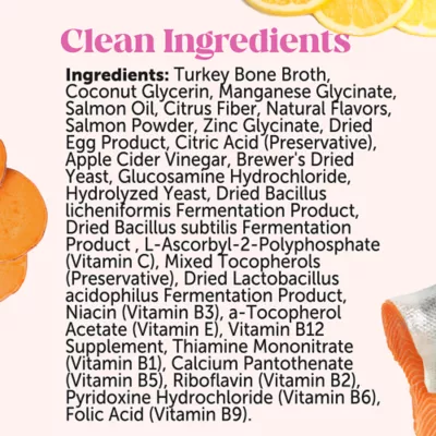 Product Pet Honesty's Multivitamin Bone Broth + Salmon Oil for Dog 12 Oz