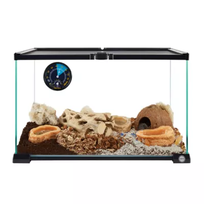 Product Thrive Tropical Hermit Crab Decorating Kit