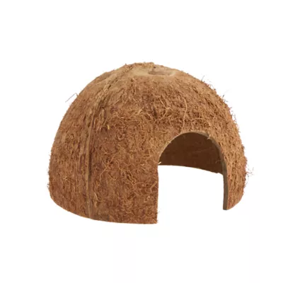 Product Thrive Tropical Hermit Crab Decorating Kit