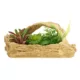 Product Thrive Plant Basket