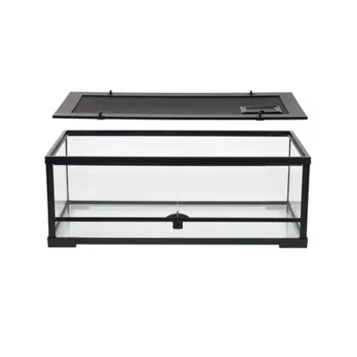 Product Thrive 31 Gallon Open Glass Terrarium