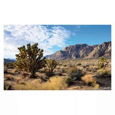 Product Thrive Desert Cling Background