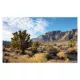 Product Thrive Desert Cling Background