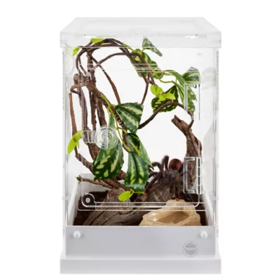 Product Thrive Acrylic Terrarium