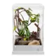 Product Thrive Acrylic Terrarium