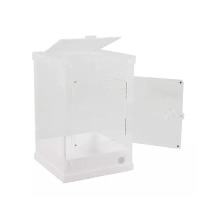 Product Thrive Acrylic Terrarium