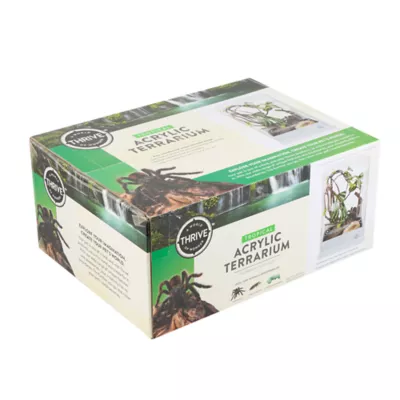 Product Thrive Acrylic Terrarium