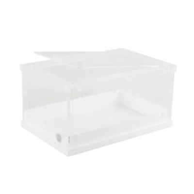 Product Thrive Acrylic Terrarium