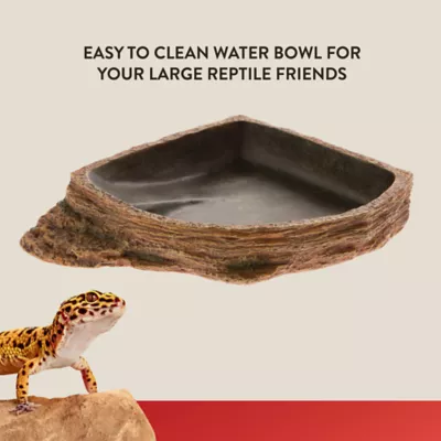 Product Thrive Brown Reptile Bowl