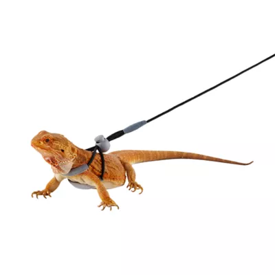 Product Thrive Beardie Harness