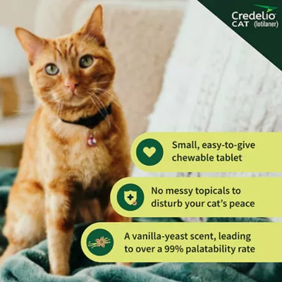 Product Credelio Chewable Tablets for Cats - 4.1-17 lbs, Teal Box