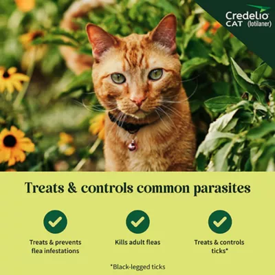 Product Credelio Chewable Tablets for Cats - 4.1-17 lbs, Teal Box