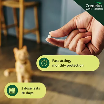 Product Credelio Chewable Tablets for Cats - 4.1-17 lbs, Teal Box