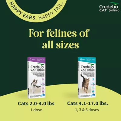 Product Credelio Chewable Tablets for Cats - 4.1-17 lbs, Teal Box