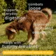 Product Native Pet Organic Pumpkin Fiber Powder Digestive Supplement for Dogs