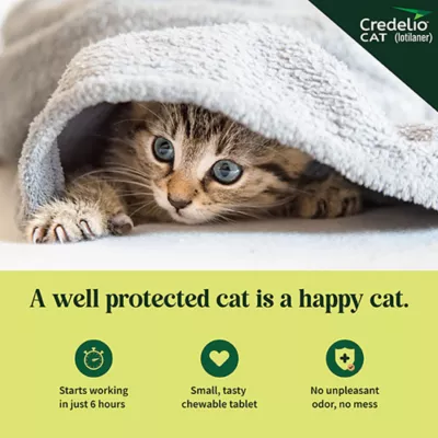 Product Credelio Chewable Tablets for Cats - 2-4 lbs, Purple Box