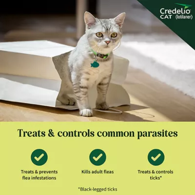 Product Credelio Chewable Tablets for Cats - 2-4 lbs, Purple Box