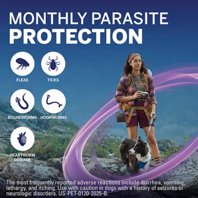 Product NexGard Plus Chewable Tablets for Dogs - 33.1-66 lbs, Purple Box