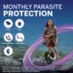 Product NexGard Plus Chewable Tablets for Dogs - 33.1-66 lbs, Purple Box