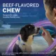 Product NexGard Plus Chewable Tablets for Dogs - 33.1-66 lbs, Purple Box