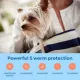 Product Interceptor Plus Chewable Tablets for Dogs - 2-8 lbs, Orange Box