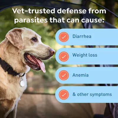 Product Interceptor Plus Chewable Tablets for Dogs - 50.1 - 100 lbs, Blue Box