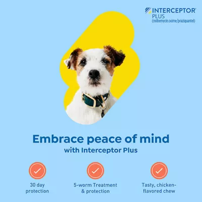 Product Interceptor Plus Chewable Tablets for Dogs - 8.1-25 lbs, Green Box