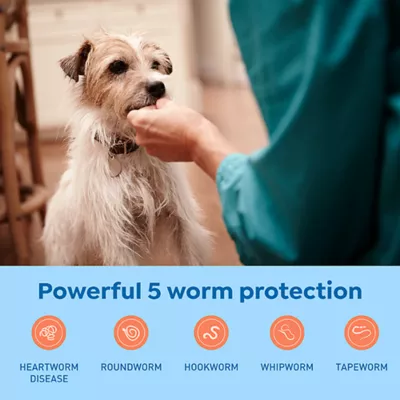 Product Interceptor Plus Chewable Tablets for Dogs - 8.1-25 lbs, Green Box