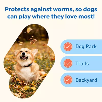 Product Interceptor Plus Chewable Tablets for Dogs - 8.1-25 lbs, Green Box