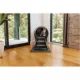 Product Ramp for Litter-Robot® 4 by Whisker
