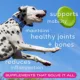Product Native Pet Hip & Joint Supplement Chews for Dogs