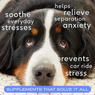 Product Native Pet Calm Chews for Dogs - Anxiety & Calming Supplement